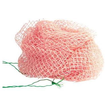 African Net Sponge - Image 5