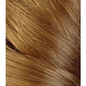 Mane Concept Ombre Yaky Ponytail 14" - Synthetic Hair - Image 5